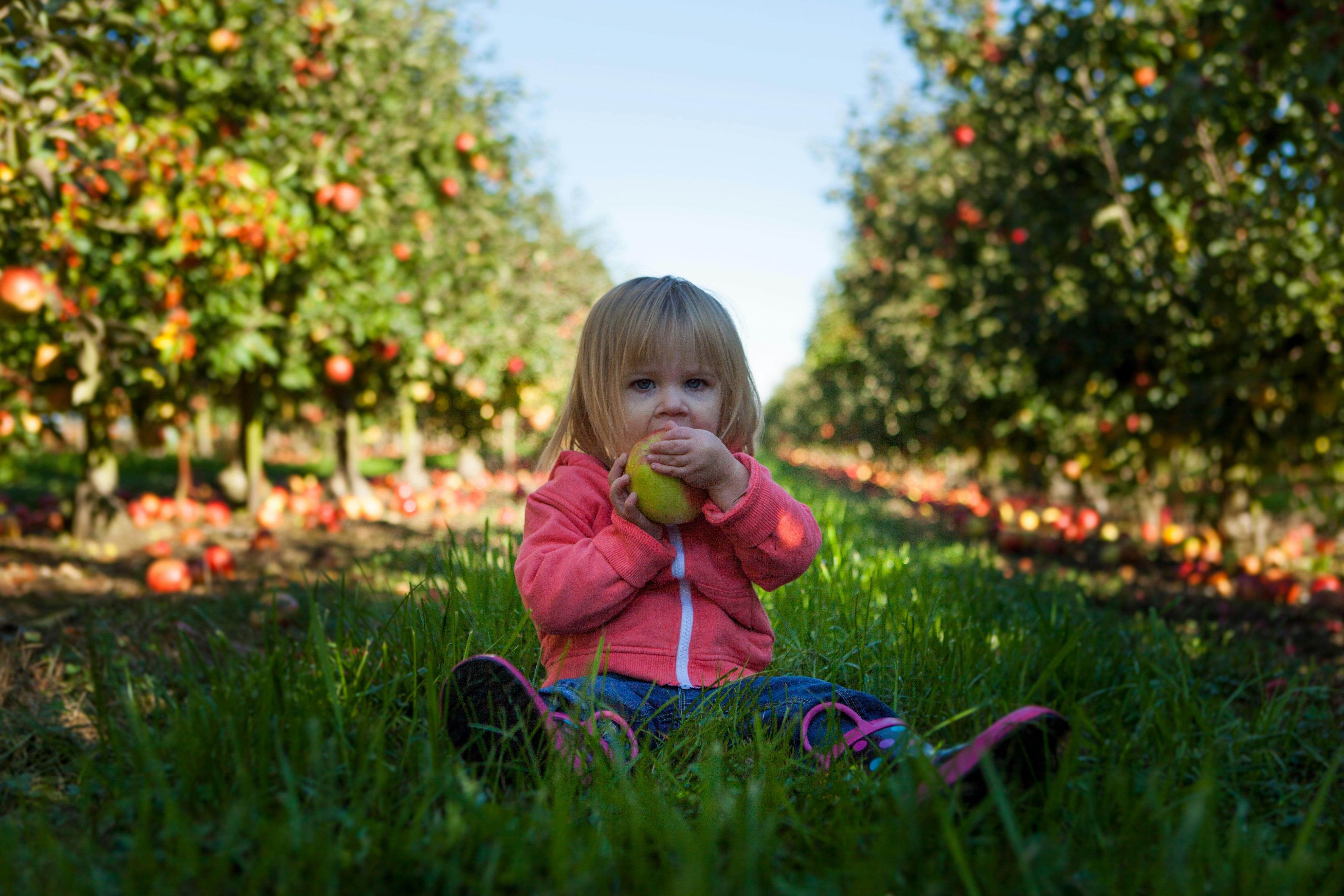 Kind mit Apfel für gesunde Zähne