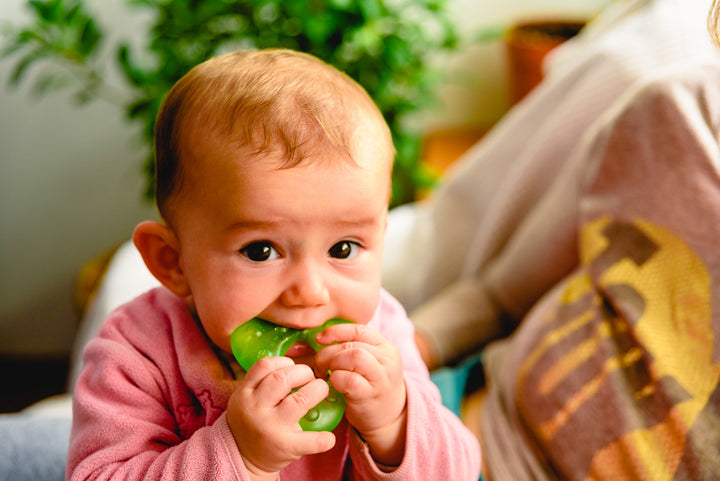 Mundpflege für Babys beginnt schon vor dem ersten Zähnchen